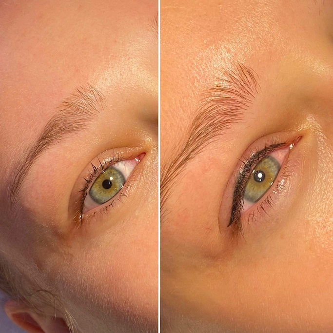 ayd cejas